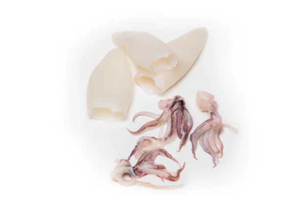 Squid-Tubes-and-Tentacles Squid-Tubes-and-Tentacles