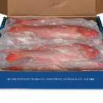 Vermillion-Snapper-Beeliner-Open-Box
