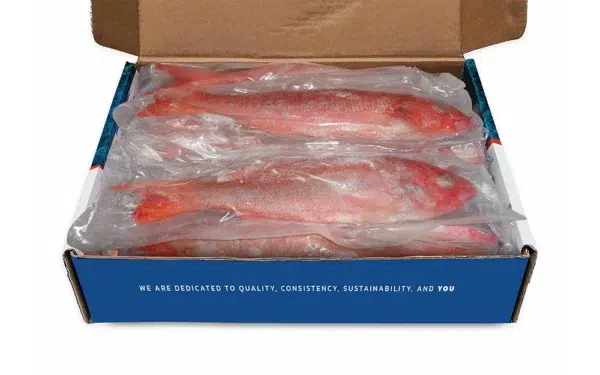 Vermillion-Snapper-Beeliner-Open-Box Vermillion-Snapper-Beeliner-Open-Box