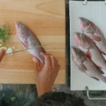 A chef scores a whole grouper on a cutting board