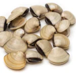 Whole-White-Clams