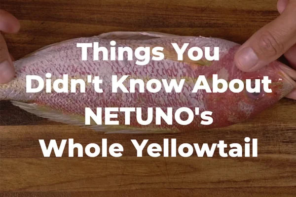 Whole-Yellowtail-Facts A chef holds a whole yellowtail snapper with the text "Things You Didn't Know About NETUNO's Whole Yellowtail"