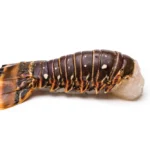 Wholesale-Lobster-Tails (2)