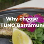 A Barramundi fillet dish with the text "Why choose NETUNO Barramundi?"