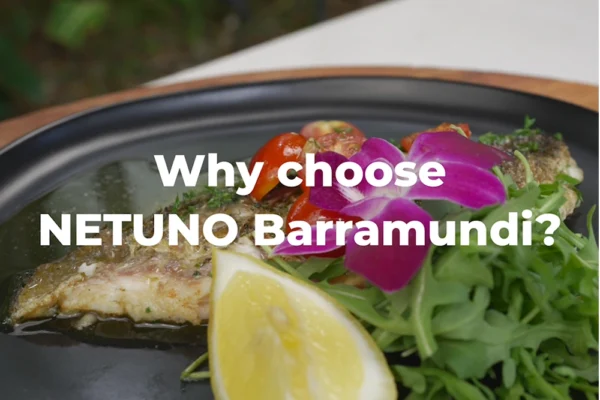 Why-Choose-Barramundi-Fillets A Barramundi fillet dish with the text "Why choose NETUNO Barramundi?"