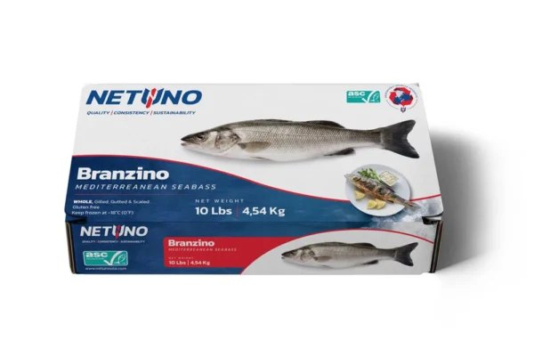 3D WHOLE BRANZINO 10lbs_front flat ASCwebp014 3D WHOLE BRANZINO 10lbs_front flat ASCwebp014