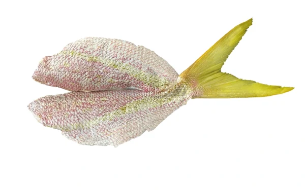 Butterflied-Snapper-Yellowtail (12)