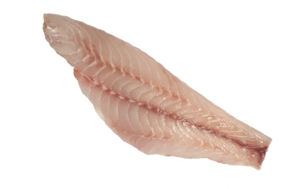 Frozen-Red-Grouper-Fillet-South-America (1)