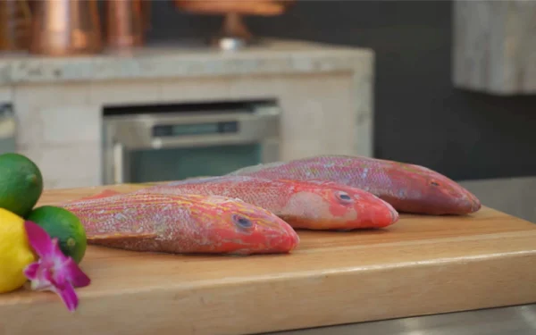 Three-Snapper-Experiment-Lane-Yellowtail Whole Lane Snapper, Whole Caribbean Red Snapper, Whole Yellowtail Snapper on a cutting board with lemon and limes along with text that displays a fact about each fish