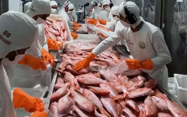 Red-Snapper-Whole Red-Snapper-Whole