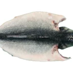 Branzino-Butterflied-Fillet-Head-On (1)