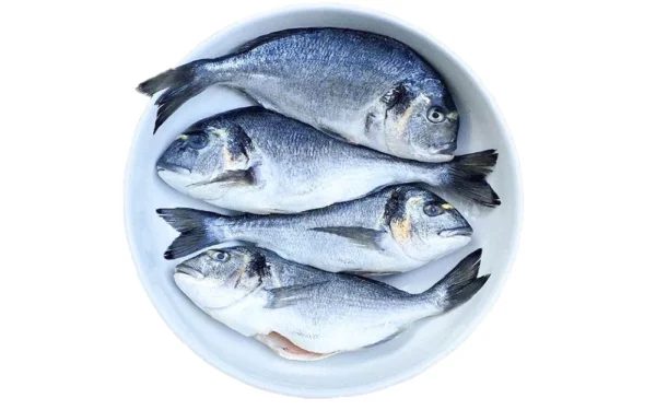 Dorade Orata Whole Gutted Cleaned Dorade Orata Whole Gutted Cleaned