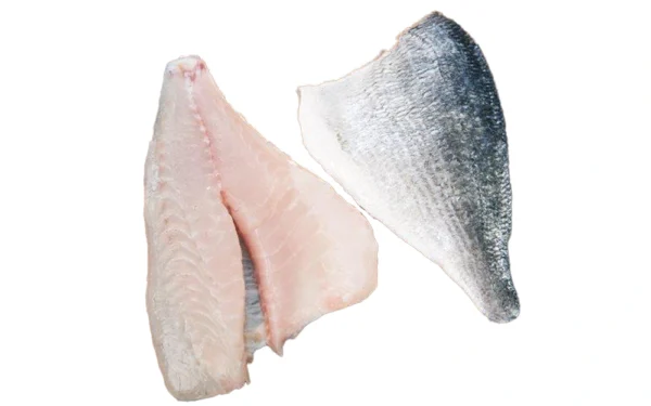 Sea-Bream-Dorade-Fillet