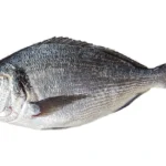 Sea-Bream-Dorade-Whole