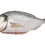 Sea-Bream-Dorade-Whole (2)