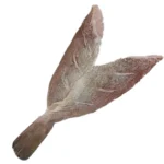 Frozen-Grouper-Fillet-Butterflied