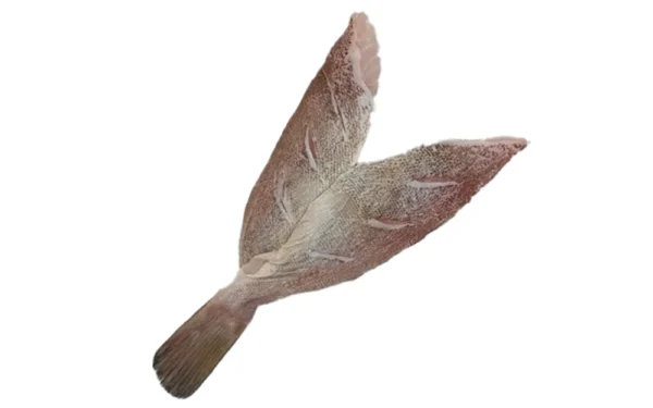 Frozen-Grouper-Fillet-Butterflied