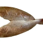 Grouper-Fillet-Butterfly-Skin-On