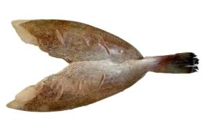 Grouper Fillet, Butterflied