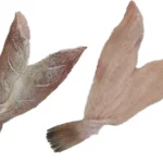 Grouper-Fillets-Butterflied-Frozen