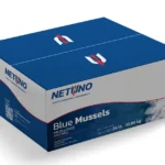 BLue-Mussel-Half-Shell-Master