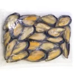 Blue-Half-shell-mussels