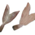 Grouper-Fillet-Butterflied-Skin-On
