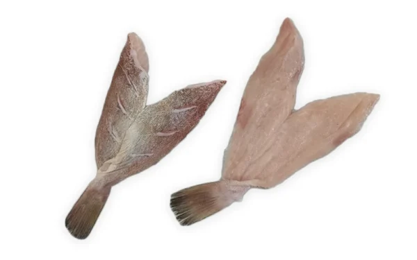 Grouper-Fillet-Butterflied-Skin-On Grouper-Fillet-Butterflied-Skin-On