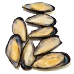 Half-shell-mussels-blue