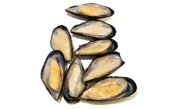Half-shell-mussels-blue Half-shell-mussels-blue
