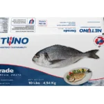 3D WHOLE DORADE 10lbs_front top