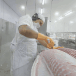 Paima-Paiche-Processing