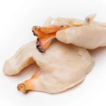 Bahamas-Conch-95%-Cleaned