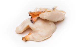 Conch Meat, 95% Cleaned