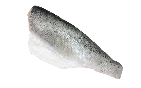 Japanese-Seabass-Suzuki-Skin-On