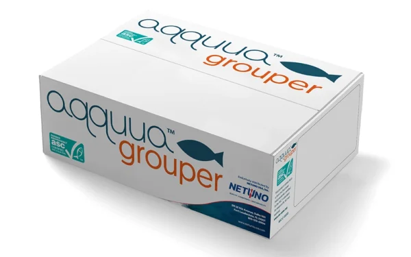 aqquua-grouper-box-1 aqquua-grouper-box-1