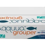 aqquua-grouper-box