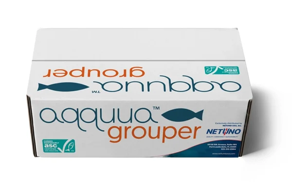 aqquua-grouper-box aqquua-grouper-box