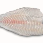 aqquua-grouper-netuno-1