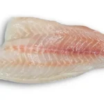 aqquua-grouper-netuno-2