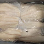 aqquua-grouper-open-box