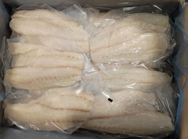 aqquua-grouper-open-box aqquua-grouper-open-box