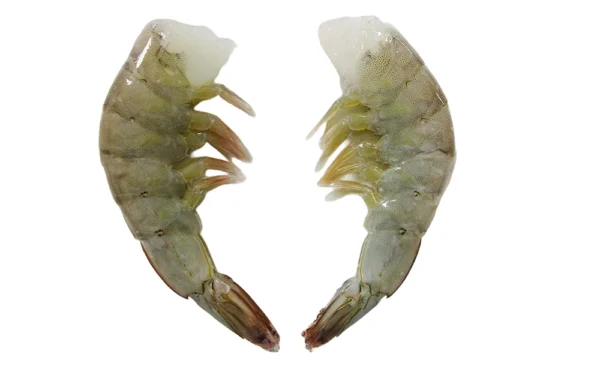 Shrimp-HLSO Shrimp-HLSO